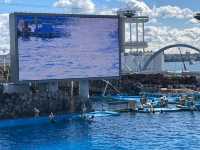 名古屋港水族館といえば🐬【イルカショー】＆名古屋港のレストラン