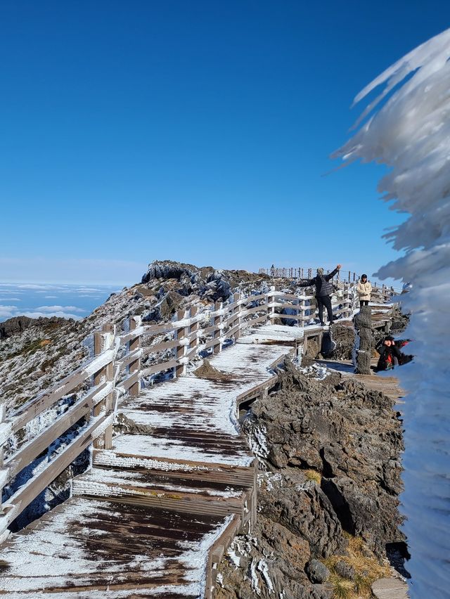 [제주도] 한라산 눈꽃 가득한 겨울 산행 ☃️❄️🌨🥶🤍