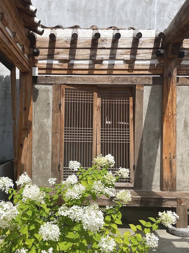 전주 한옥 마을 100% 즐기기!