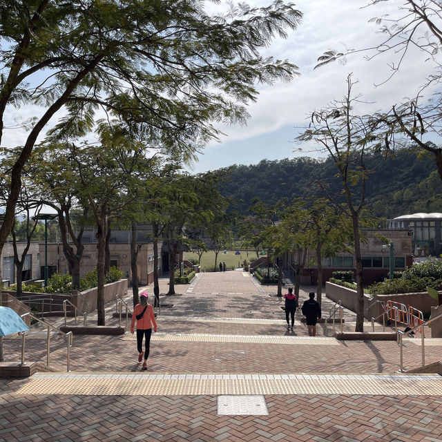 超大型公園草地同設施
