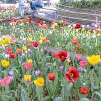 春の横浜公園の遊具エリア