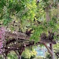 【日本庭園】旧芝離宮恩賜庭園