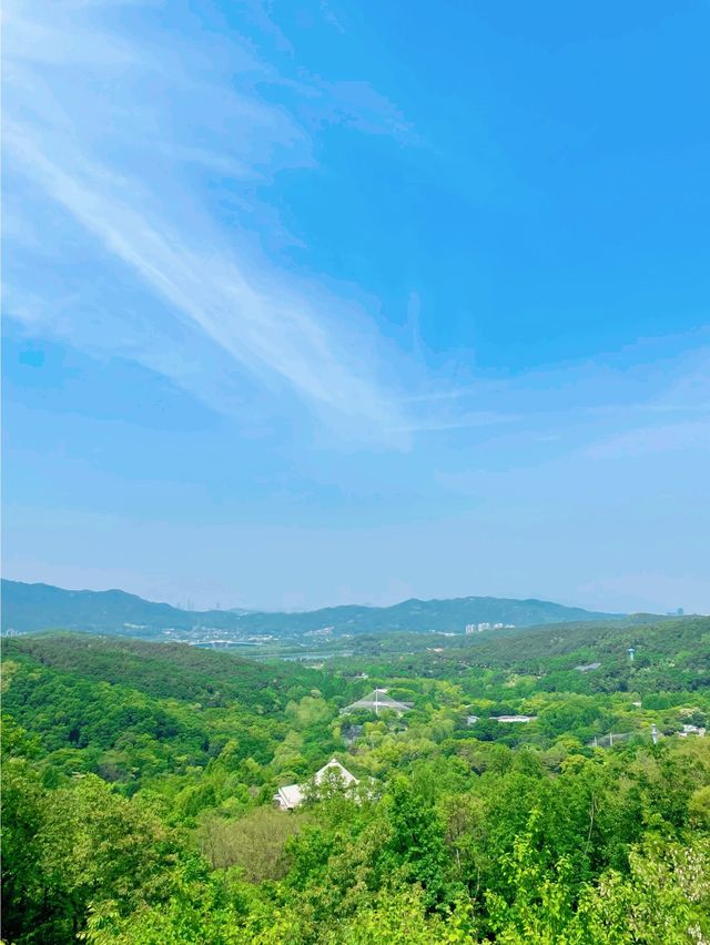 청계산에서 만난 멋진 전망대