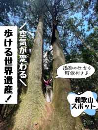 歩ける世界遺産《熊野古道＊大門坂》