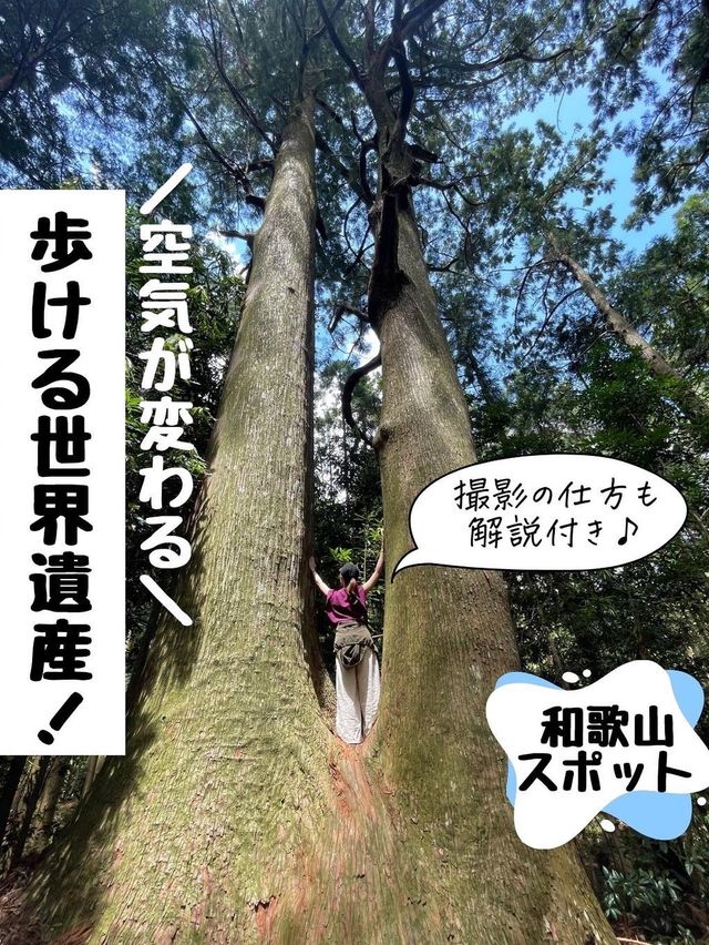 歩ける世界遺産《熊野古道＊大門坂》