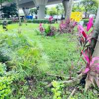 賞花必到～花悅滿城！