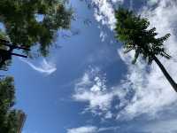 本地遊 ｜ 荔枝角公園 ｜賞花 ｜ 小百日草
