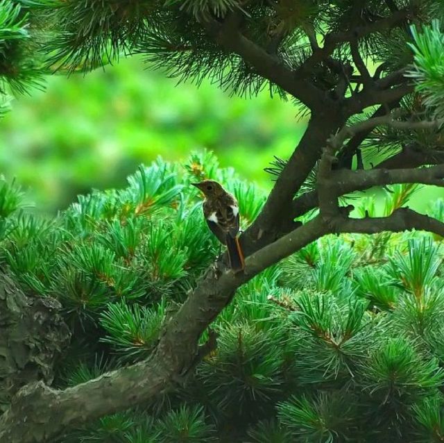 양주 캠핑장 추천 * 남경수목원캠핑장