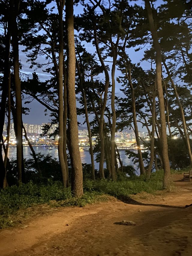 밤에 가도 아름다운 울산 동구 일산지🌊