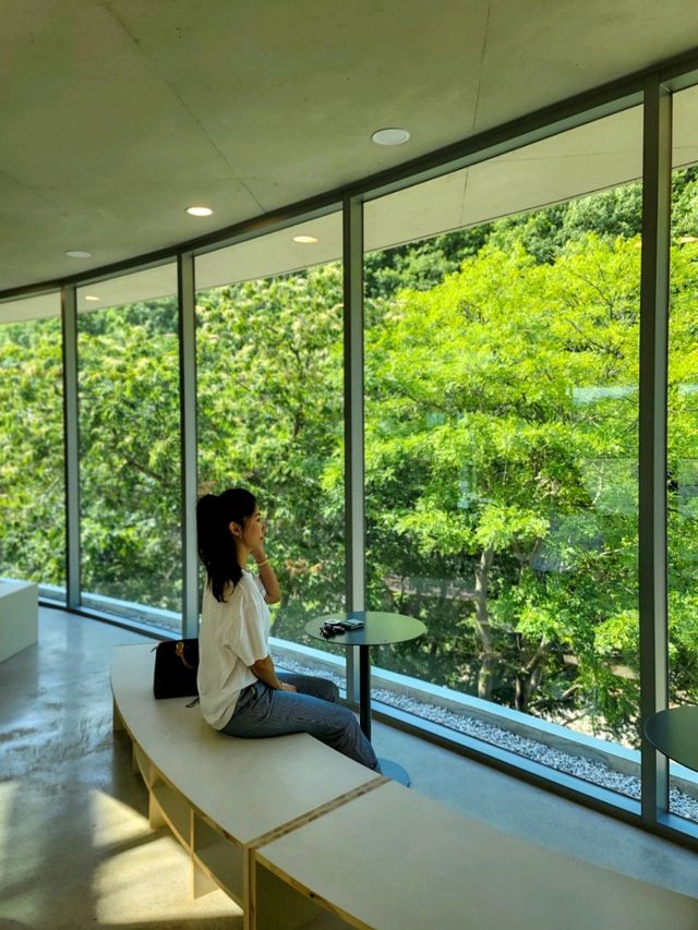 단풍시즌이면 더 예쁠 포레스트뷰, 양산카페 아미드포레🍁🍂