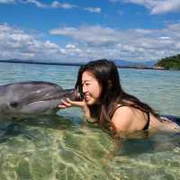 Dolphfun date