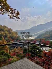 서울 근교 가을 단풍 핫플은 바로 여기!