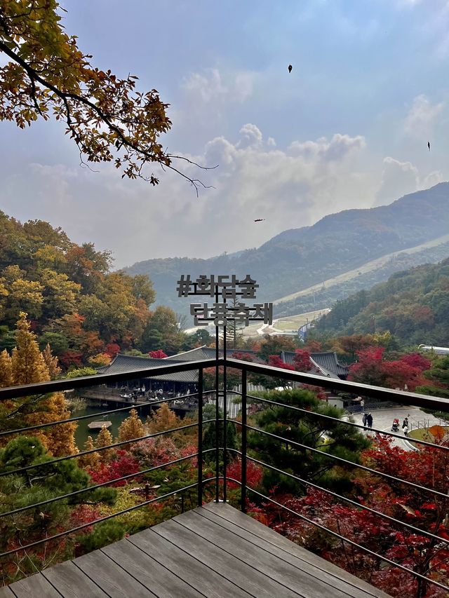 서울 근교 가을 단풍 핫플은 바로 여기!