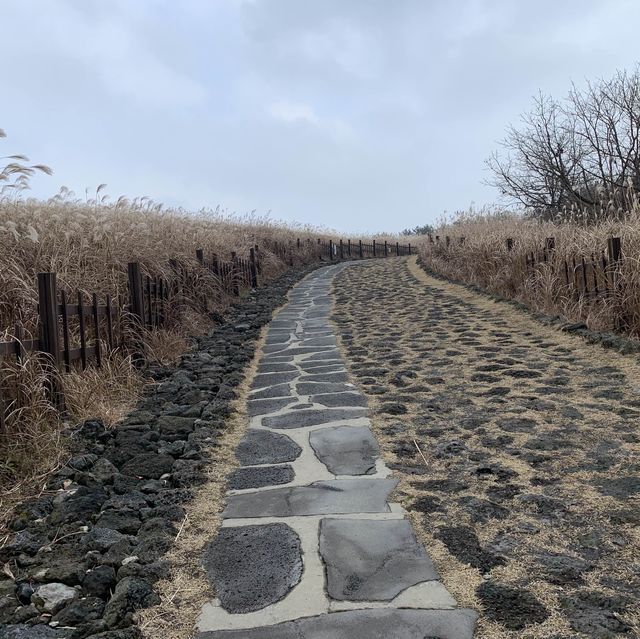 広大な済州島の噴火口！