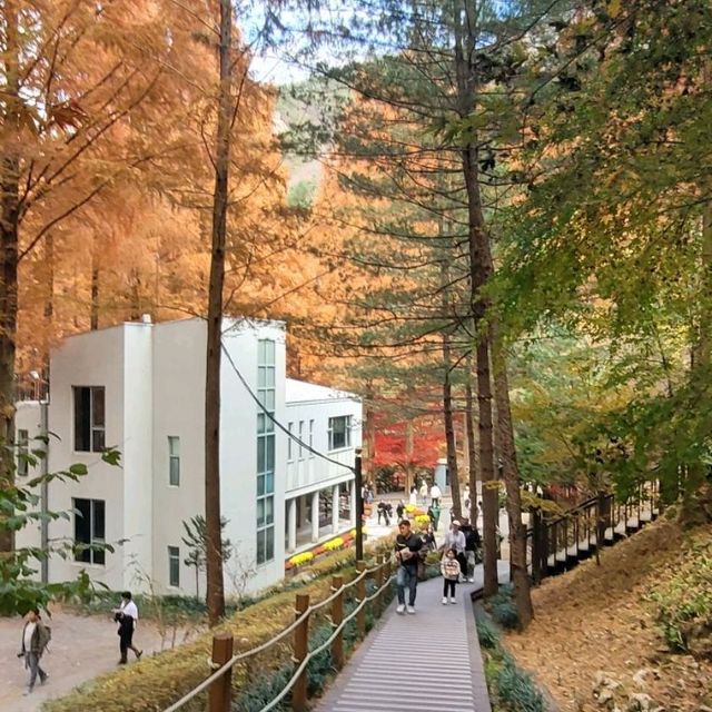 Autumn in Jangtaesan 