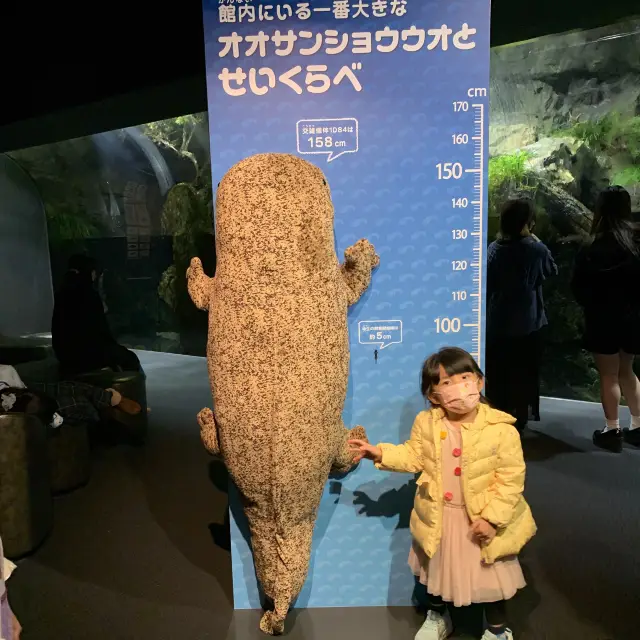 #京都親子遊｜京都水族館