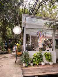 กลาง•ป่า homemade