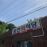 용산회식당, 경주