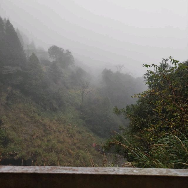 太平山森林遊樂園區