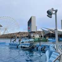 名古屋港水族館といえば🐬【イルカショー】＆名古屋港のレストラン
