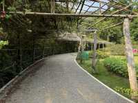 ตาดร้อยครัว ຕາດຮ້ອຍຄົວ Green Jungle Park