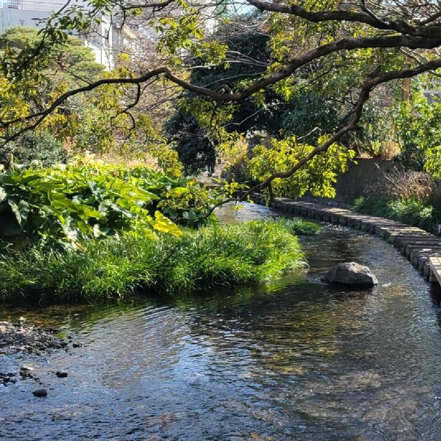 【三島】源平川