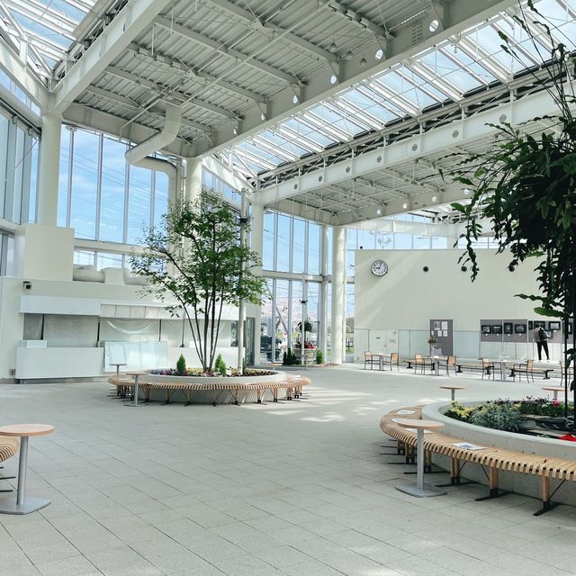 【北海道:函館】日本100名城の星形要塞で絶景を楽しむ