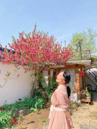 전주의 가성비 갑 한옥게스트하우스 '그림'🌺