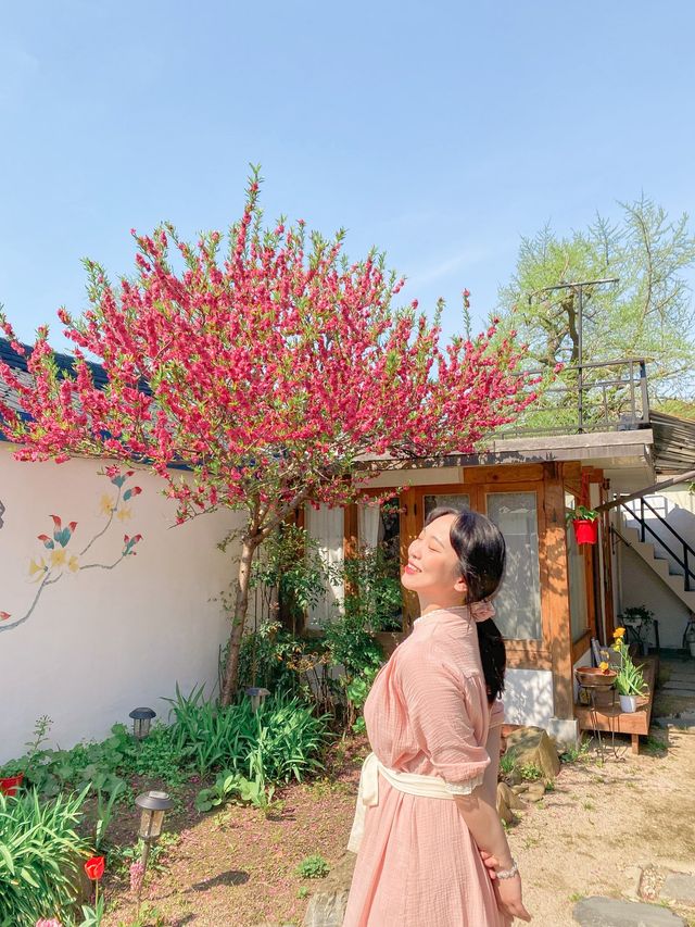 전주의 가성비 갑 한옥게스트하우스 '그림'🌺