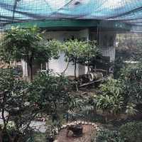 市區觀鳥好地方