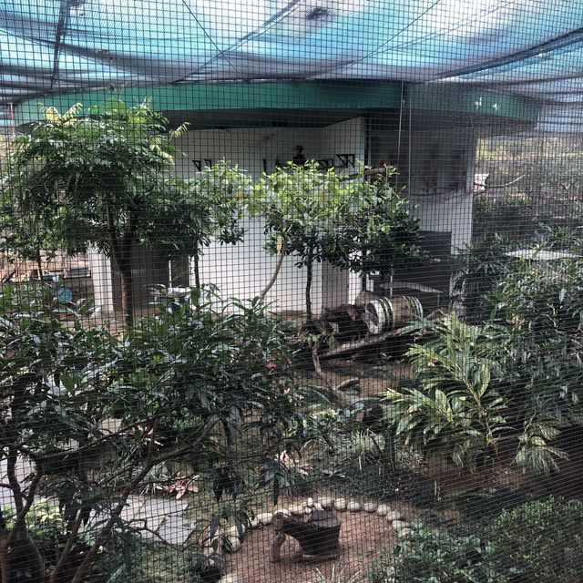 市區觀鳥好地方