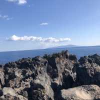【城ヶ先海岸】伊豆らしい溶岩地形！