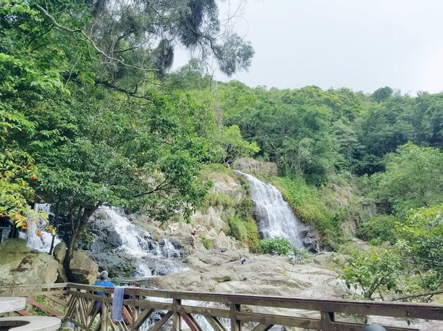 老虎頭