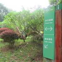 深圳天然大氧吧