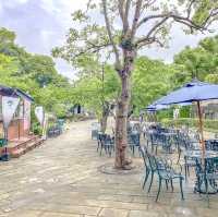 グラバー園中段のあたりの景色と紫陽花