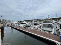 Luxury yacht-watching
