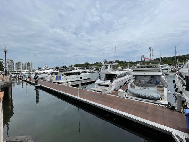 Luxury yacht-watching