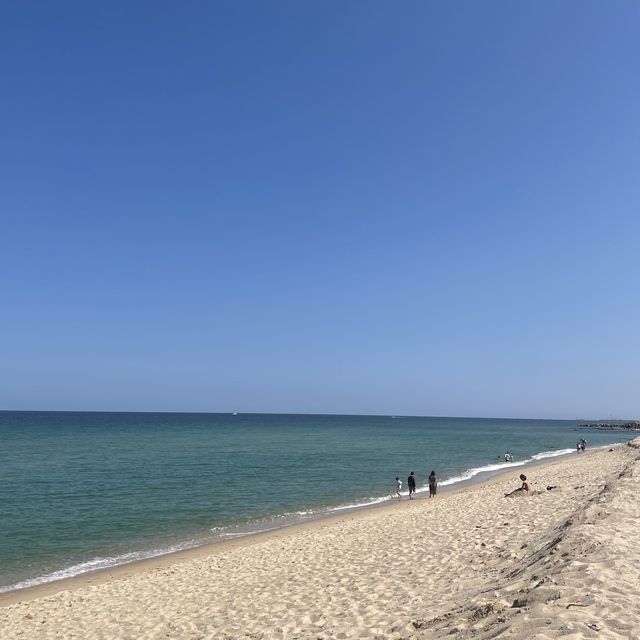 바다 하면 강릉 강릉하면 사천해변🤍