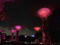 Colorful, Giant “Trees” at Gardens By The Bay