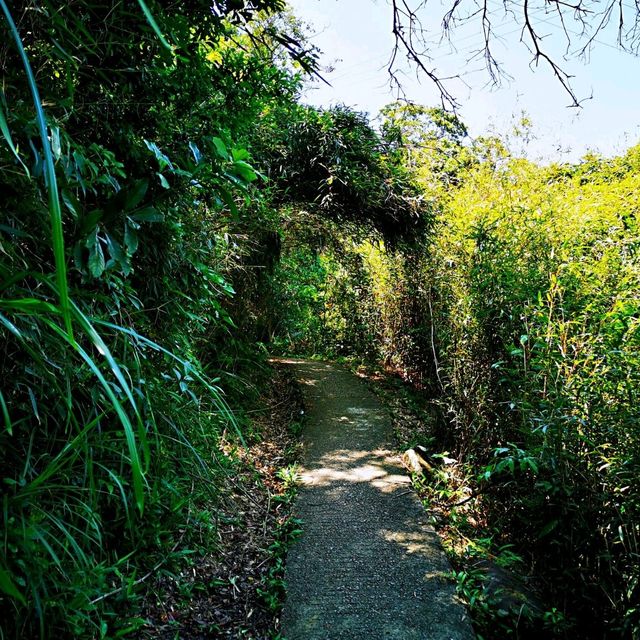 北港古道•茅坪坳•大水井古道
