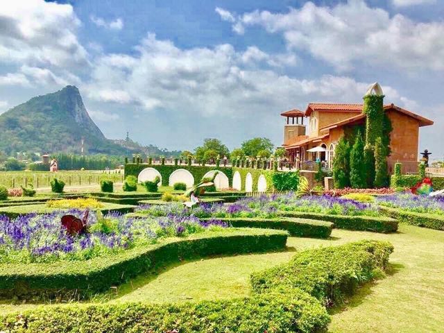 🌳 "ไร่องุ่นซิลเวอร์เลค" (Silverlake) 🌳