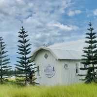 -Memory House Cafe HuaHin 🏠
