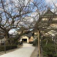 🇯🇵 西日本的美麗城堡 – 和歌山城