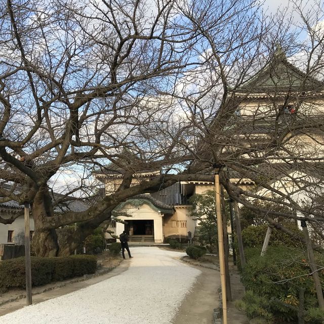 🇯🇵 西日本的美麗城堡 – 和歌山城