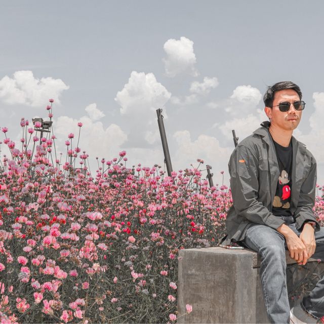 สิงห์ปาร์ค หนึ่งในแลนด์มาร์ค จ.เชียงราย