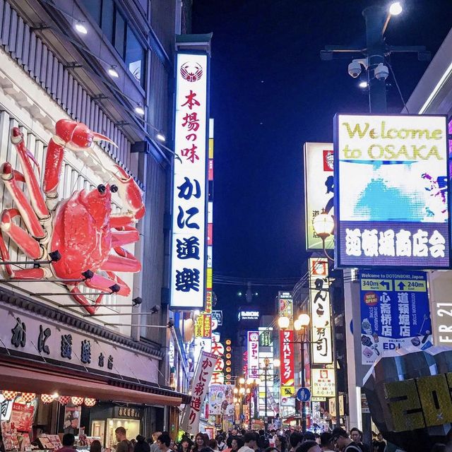 Bright Lights in Dontonbori Japan