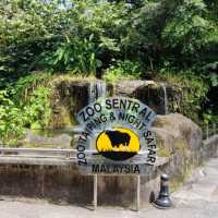 Wonderful Experience in Taiping Zoo