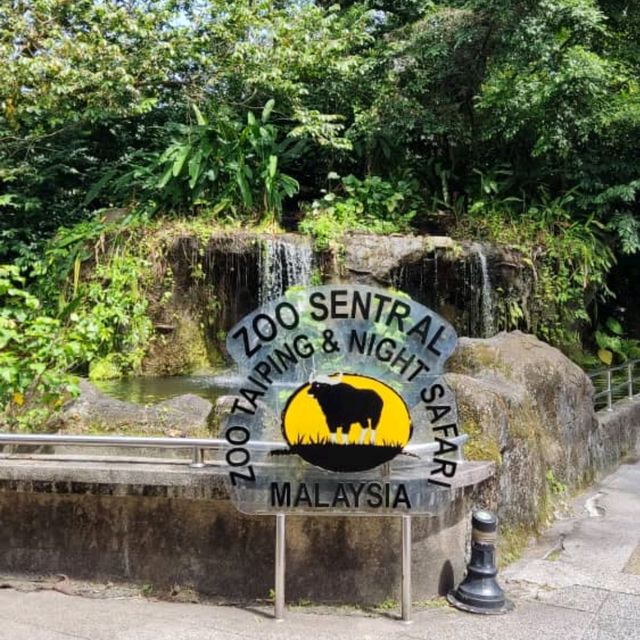 Wonderful Experience in Taiping Zoo