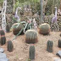 Cameron Highland Cactus Valley