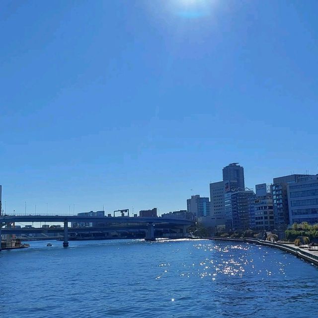 Sightseeing in Sumida River